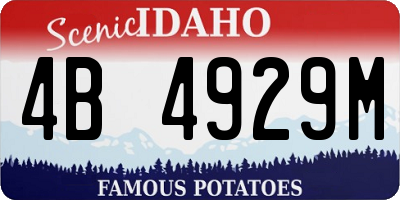 ID license plate 4B4929M