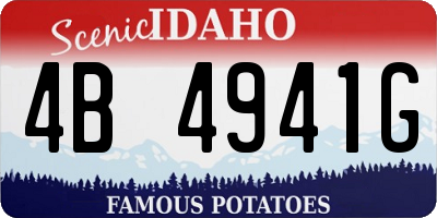 ID license plate 4B4941G