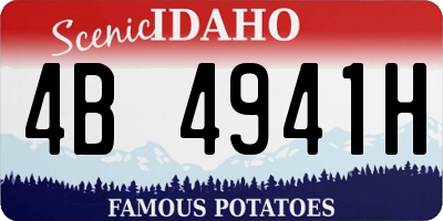 ID license plate 4B4941H