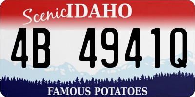 ID license plate 4B4941Q