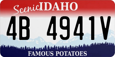 ID license plate 4B4941V