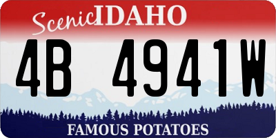 ID license plate 4B4941W