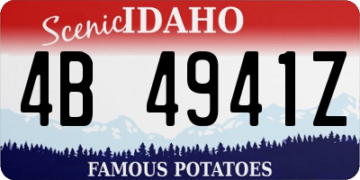 ID license plate 4B4941Z