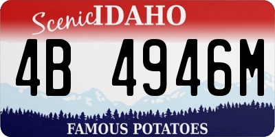 ID license plate 4B4946M