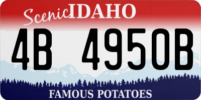 ID license plate 4B4950B