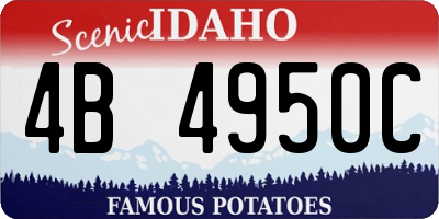 ID license plate 4B4950C