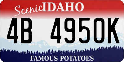 ID license plate 4B4950K