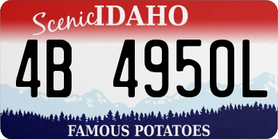 ID license plate 4B4950L