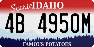 ID license plate 4B4950M