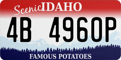 ID license plate 4B4960P