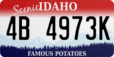 ID license plate 4B4973K