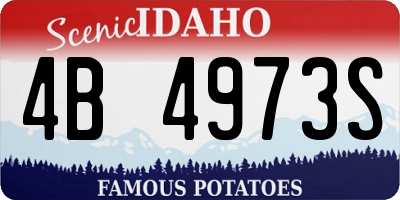 ID license plate 4B4973S
