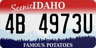 ID license plate 4B4973U