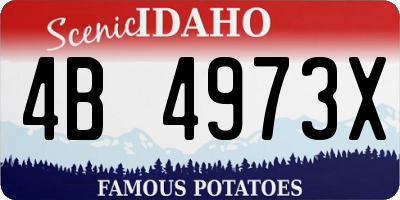 ID license plate 4B4973X