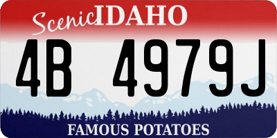 ID license plate 4B4979J