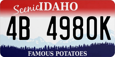 ID license plate 4B4980K