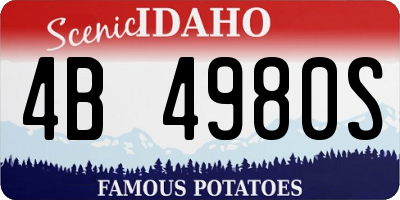 ID license plate 4B4980S