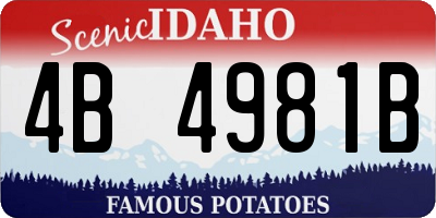 ID license plate 4B4981B