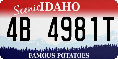 ID license plate 4B4981T