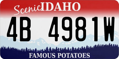 ID license plate 4B4981W