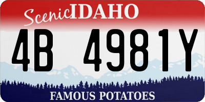 ID license plate 4B4981Y