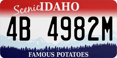 ID license plate 4B4982M