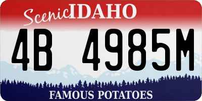 ID license plate 4B4985M