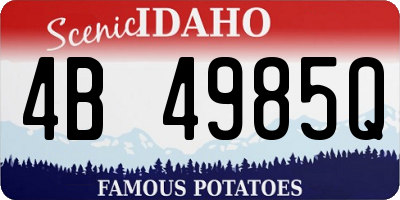 ID license plate 4B4985Q