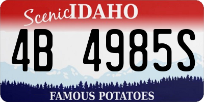 ID license plate 4B4985S