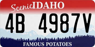ID license plate 4B4987V