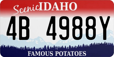 ID license plate 4B4988Y