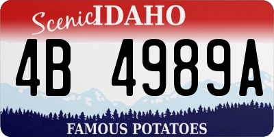 ID license plate 4B4989A