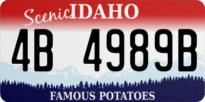 ID license plate 4B4989B