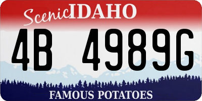 ID license plate 4B4989G