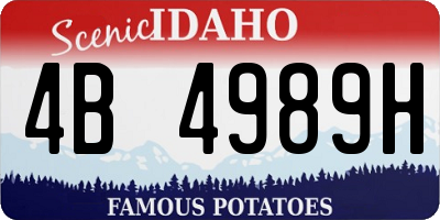 ID license plate 4B4989H