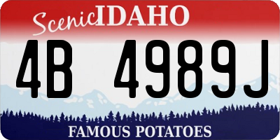 ID license plate 4B4989J