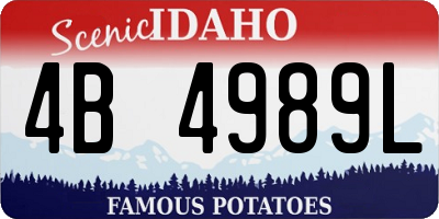 ID license plate 4B4989L