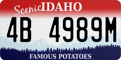 ID license plate 4B4989M