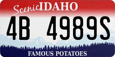 ID license plate 4B4989S