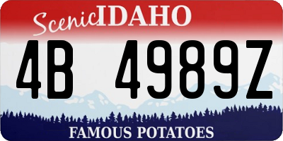 ID license plate 4B4989Z