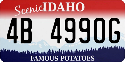 ID license plate 4B4990G