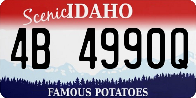 ID license plate 4B4990Q