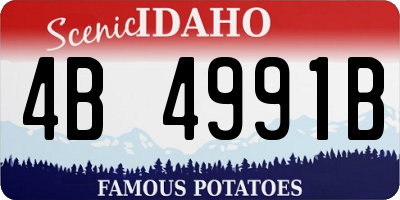 ID license plate 4B4991B