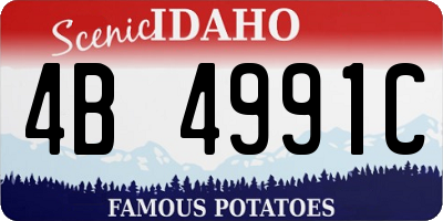 ID license plate 4B4991C