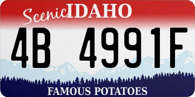 ID license plate 4B4991F