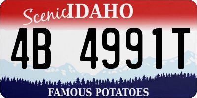 ID license plate 4B4991T