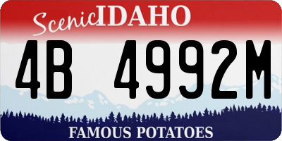 ID license plate 4B4992M