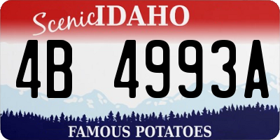 ID license plate 4B4993A