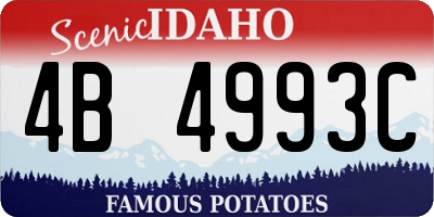 ID license plate 4B4993C