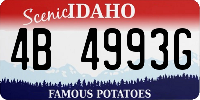 ID license plate 4B4993G